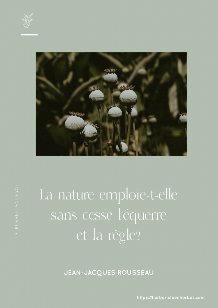 La nouvelle Éloise - Critique du Jardin à la française de Jean Jacques Rousseau