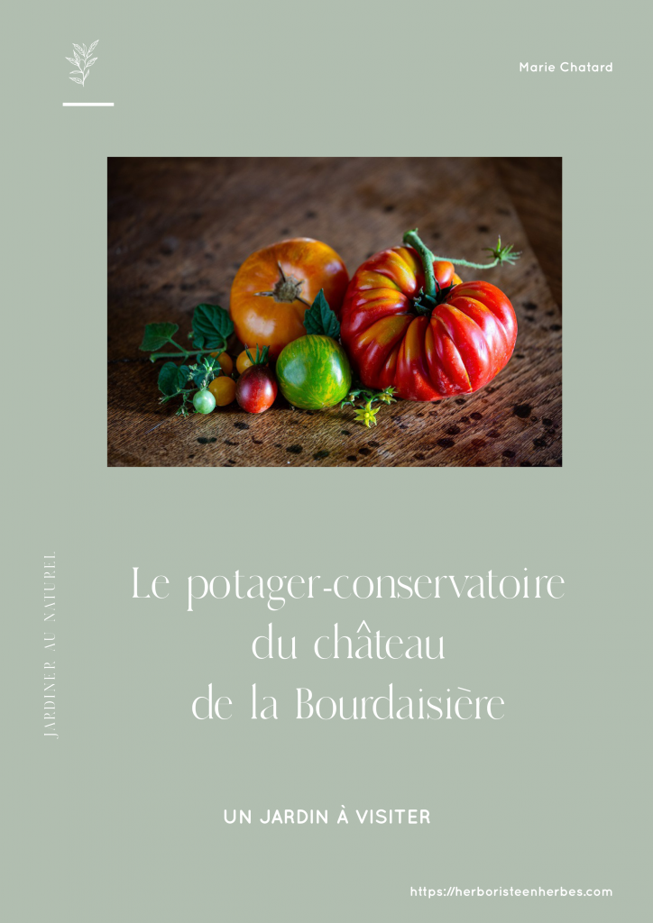 Le potager-conservatoire du château de la Bourdaisière